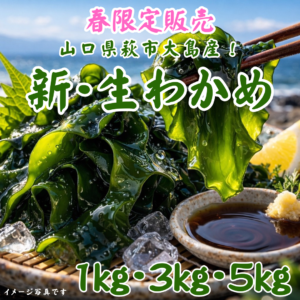 【販売期間：２月下旬～３月下旬】萩大島産の新・生わかめ