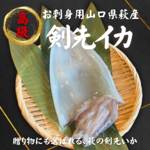 【販売期間：6月～11月末頃】萩沖育ち 剣先いか〈お刺身用〉