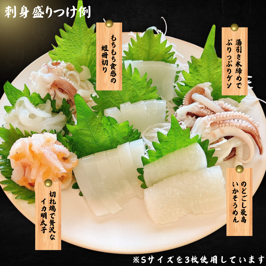 【販売期間:6月~11月末頃】萩沖育ち 剣先いか〈お刺身用〉 - 画像 (2)