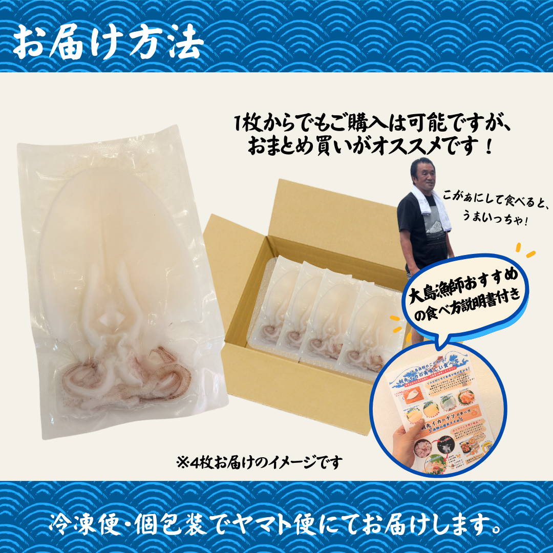 【販売期間:6月~11月末頃】萩沖育ち 剣先いか〈お刺身用〉 - 画像 (4)